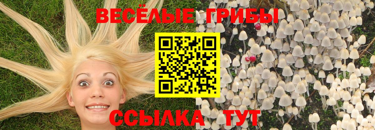 Майкоп  Галлюциногенные грибы Psilocybine cubensis  Вход с VPN  Псилоцибиновые грибы Magic Shrooms 
